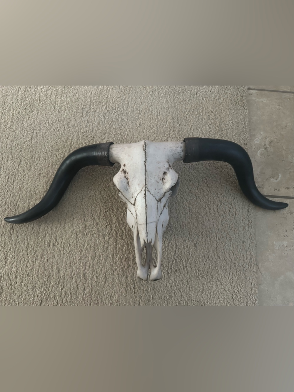 HANGING LONGHORN SKULL